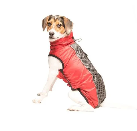 D.GS Meteor NanoSlim Raincoat